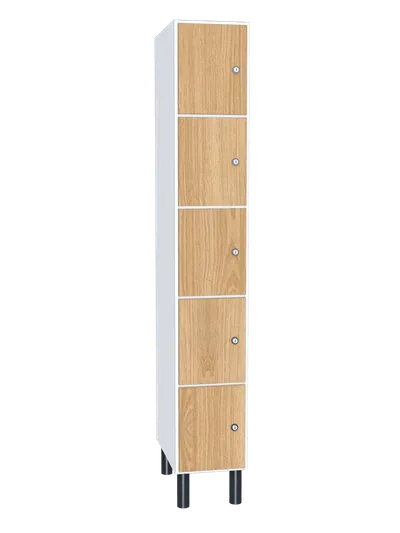 Taquilla de melamina de 5 puertas